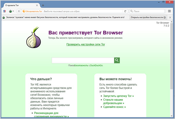 Внешний вид браузера тор